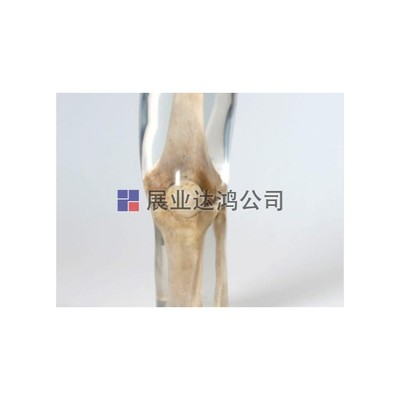 科技赋能医学教育 现代医药教学器材的应用与发展